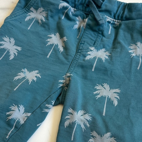 Tea Collection Teal Palm Print Kids Shorts - Picture 3 of 8